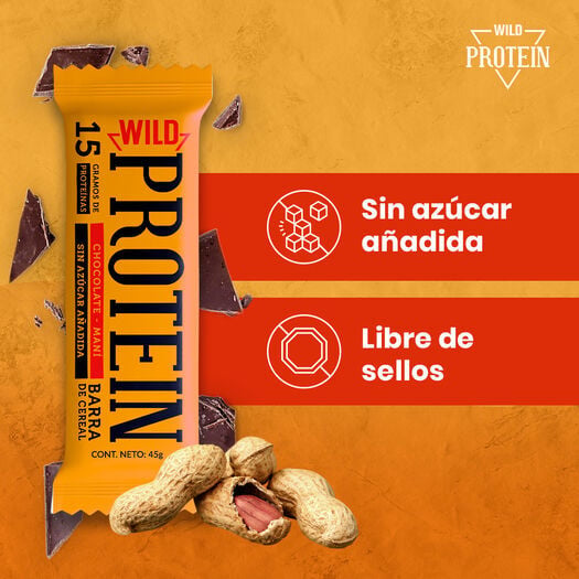 BARRAS DE PROTEÍNA VEGANA